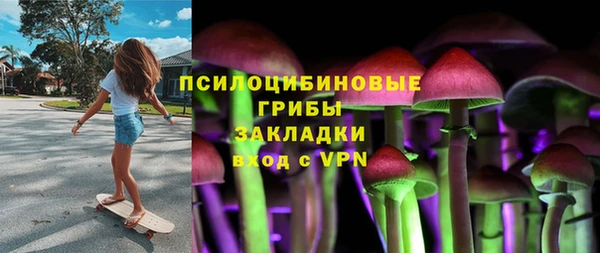 a pvp Алзамай
