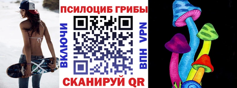где можно купить   Арск  Псилоцибиновые грибы Psilocybine cubensis 